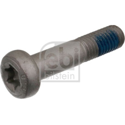 Varžtas šarnyro
                                FEBI BILSTEIN                                                24385, FEBI BI