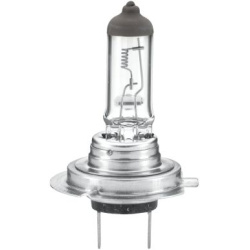 lemputė HEAVY DUTY
                                HELLA                                8GH 007 157-241, Nenurodytas gaminto