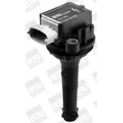 Ritė uždegimo babina
                                BorgWarner (BERU)                                ZSE055, BorgWarner (B