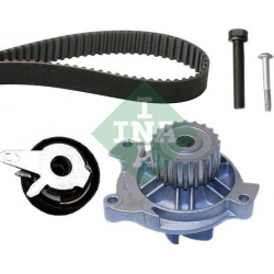 vandens siurblio ir paskirstymo diržo komplektas
                                INA                                        