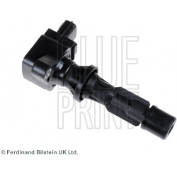 ritė, uždegimas
                                BLUE PRINT                                                ADM51490, BLUE PR
