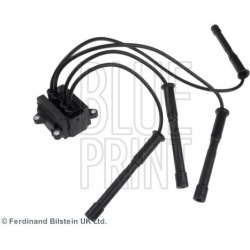 ritė, uždegimas
                                BLUE PRINT                                                ADN11488, BLUE PR