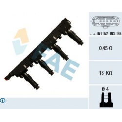 ritė, uždegimas
                                FAE                                                80257, Nenurodytas gamin