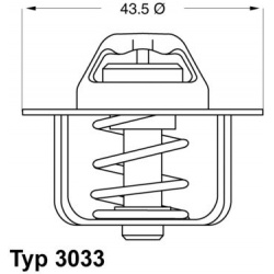 termostatas, aušinimo skystis
                                BorgWarner (Wahler)                                           