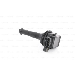 ritė, uždegimas
                                BOSCH                                                0221604008, BOSCH, 022
