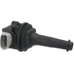 ritė, uždegimas
                                DELPHI                                                GN10331-12B1, Nenurod