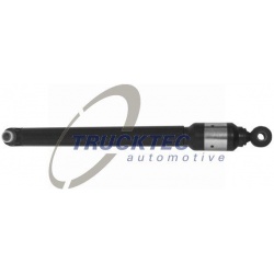 amortizatorius, vairo mechanizmas
                                TRUCKTEC AUTOMOTIVE                                        