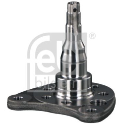 ašies kakliukas, ašies korpusas
                                FEBI BILSTEIN                                              