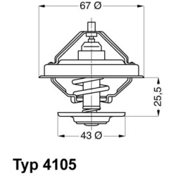 termostatas, aušinimo skystis
                                BorgWarner (Wahler)                                           