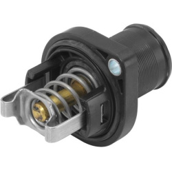 termostatas, aušinimo skystis
                                BorgWarner (Wahler)                                3463.89D, B
