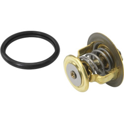 termostatas, aušinimo skystis
                                BorgWarner (Wahler)                                410131.88D,