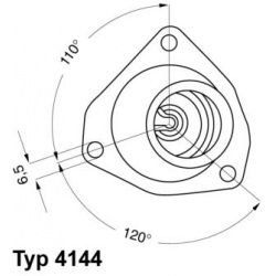 termostatas, aušinimo skystis
                                BorgWarner (Wahler)                                           