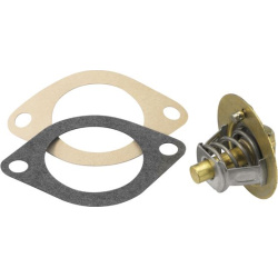 termostatas, aušinimo skystis
                                BorgWarner (Wahler)                                3119.88D5, 