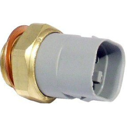 temperatūros jungiklis, radiatoriaus ventiliatorius
                                DELPHI                                  