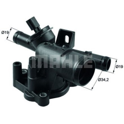 Termostatas
                                MAHLE                                                TI21981, MAHLE, TI21981, aut