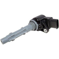 ritė, uždegimas
                                DELPHI                                GN10235-12B1, Nenurodytas gamintojas,