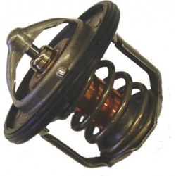 termostatas, aušinimo skystis
BorgWarner (Wahler)