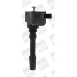 ritė, uždegimas
                                BorgWarner (BERU)                                                ZSE 163, B