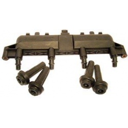 ritė, uždegimas
                                DELPHI                                                CE20010-12B1, Nenurod