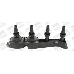 Ritė uždegimo babina
                                BorgWarner (BERU)                                                ZSE04