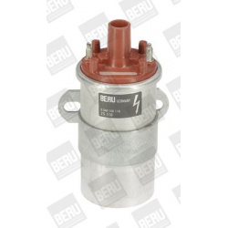 ritė, uždegimas
                                BorgWarner (BERU)                                                ZS 118, Bo