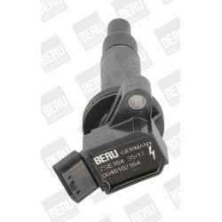 ritė, uždegimas
                                BorgWarner (BERU)                                                ZSE 164, B