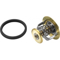 termostatas, aušinimo skystis
                                BorgWarner (Wahler)                                4103.82D, B