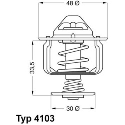 termostatas, aušinimo skystis
                                BorgWarner (Wahler)                                           