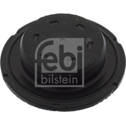 užšalęs kaištis febi Plus
                                FEBI BILSTEIN                                                49