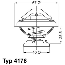 termostatas, aušinimo skystis
                                BorgWarner (Wahler)                                           