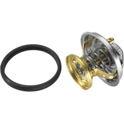 termostatas, aušinimo skystis
                                BorgWarner (Wahler)                                4176.85D, B