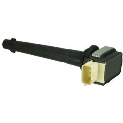 ritė, uždegimas
                                DELPHI                                                GN10376-12B1, Nenurod