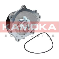 Vandens siurblys, variklio aušinimas
                                KAMOKA                                                T