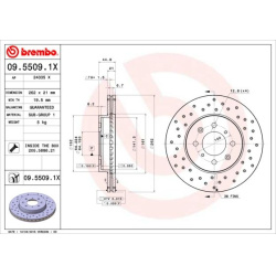 stabdžių diskas (1vnt) XTRA LINE - Xtra
                                BREMBO                                09.5509.1X, B