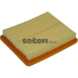 oro filtras
                                PURFLUX                                                A1175, PURFLUX, A1175, aut