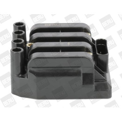 ritė, uždegimas
                                BorgWarner (BERU)                                                ZSE 029, B