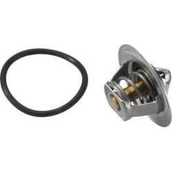 termostatas, aušinimo skystis
                                BorgWarner (Wahler)                                3167.83D, B