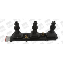 ritė, uždegimas
                                BorgWarner (BERU)                                                ZSE 153, B