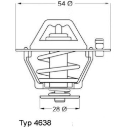 termostatas, aušinimo skystis
                                BorgWarner (Wahler)                                           