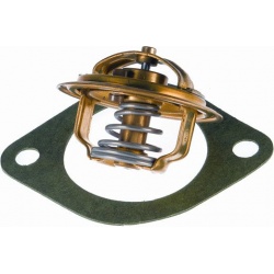 termostatas, aušinimo skystis
                                BorgWarner (Wahler)                                3004.82D1, 