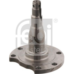 ašies kakliukas, ašies korpusas
                                FEBI BILSTEIN                                              