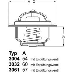 termostatas, aušinimo skystis
                                BorgWarner (Wahler)                                           