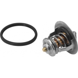 termostatas, aušinimo skystis
                                BorgWarner (Wahler)                                410178.82D,
