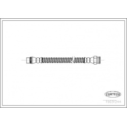 stabdžių žarnelė
                                CORTECO                                                19031244, CORTECO