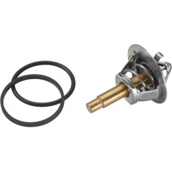 termostatas, aušinimo skystis
                                BorgWarner (Wahler)                                3457.90D, B