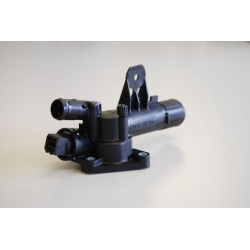 termostatas, aušinimo skystis
                                BorgWarner (Wahler)                                           