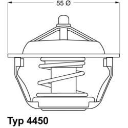 termostatas, aušinimo skystis
BorgWarner (Wahler)