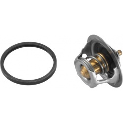 termostatas, aušinimo skystis
                                BorgWarner (Wahler)                                4450.89D, B