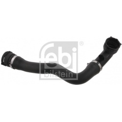 Aušinimo vamzdis, žarna
                                FEBI BILSTEIN                                                36596,