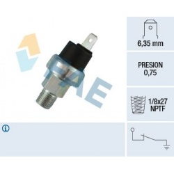 Daviklis tepalo slėgio lemputės
                                FAE                                                13350, N